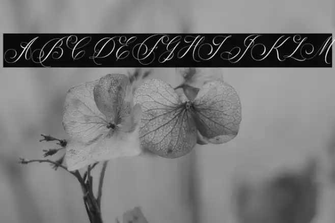 Glaston Font examples