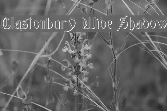 Glastonbury Wide Shadow Font examples