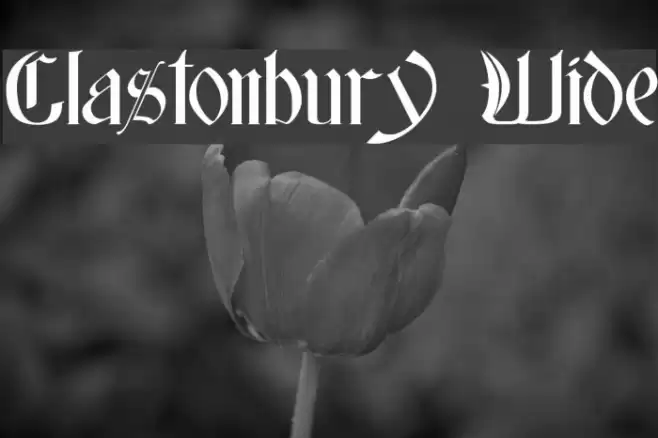 Glastonbury Wide Fonte examples