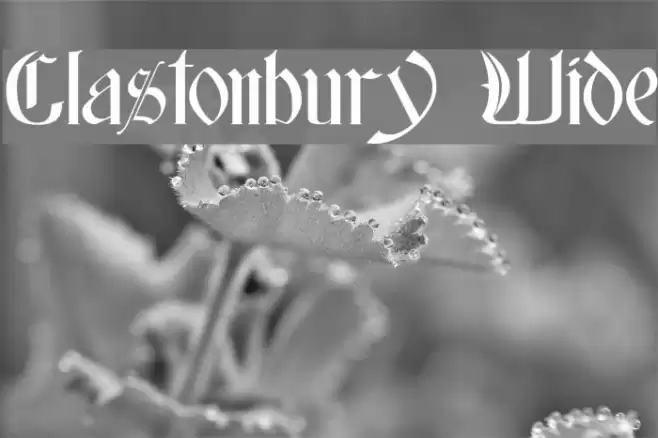 Glastonbury Wide Fonte examples