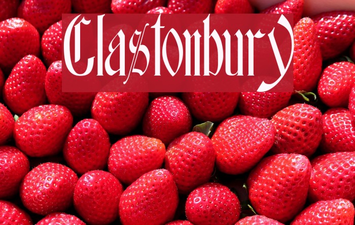Glastonbury Polices examples