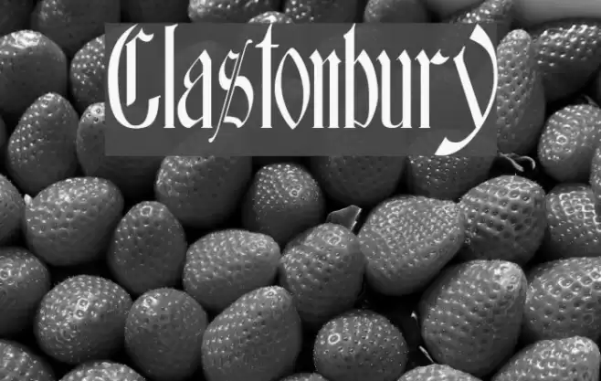 Glastonbury Polices examples