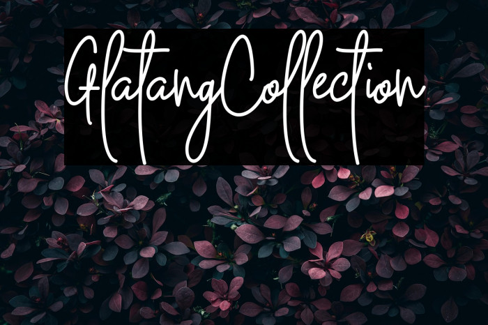 GlatangCollection Example 2