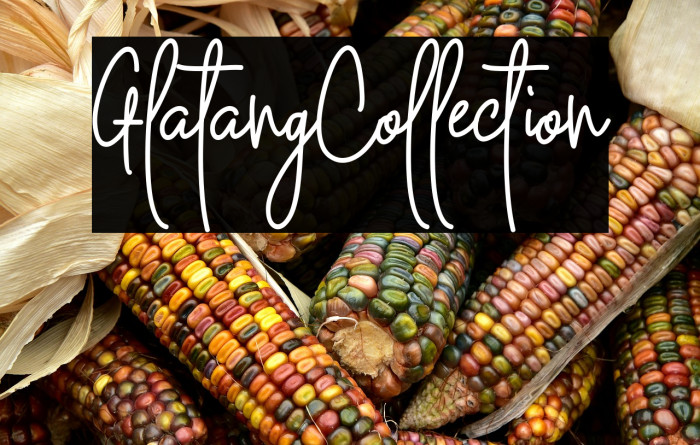 GlatangCollection Example 3