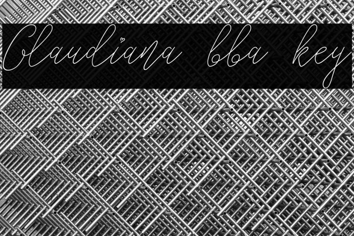 Glaudiana bba key Example 1