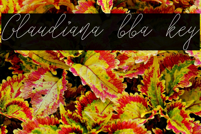 Glaudiana bba key Example 3