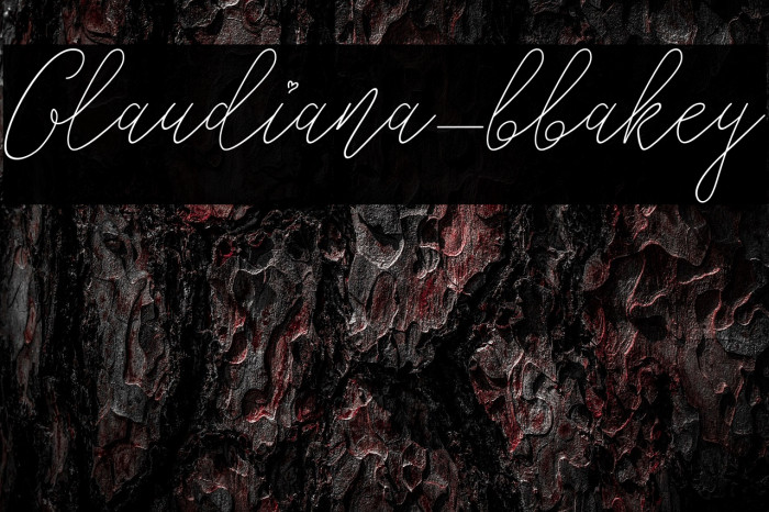 Glaudiana-bbakey Example 2