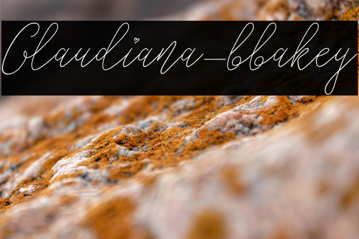 Glaudiana-bbakey Example 3