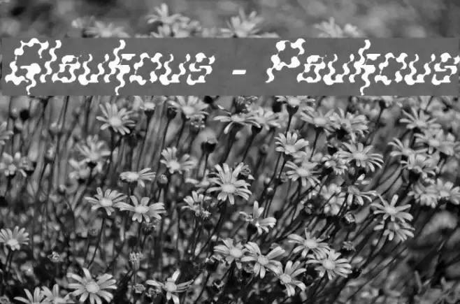 Glaukous - Paukous Font examples