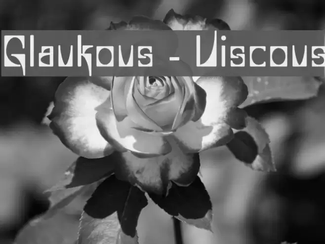 Glaukous - Viscous Font examples