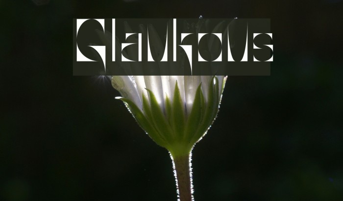 Glaukous Font examples