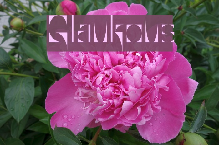 Glaukous Font examples