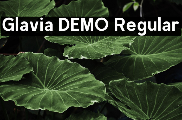 Glavia DEMO Regular Example 1