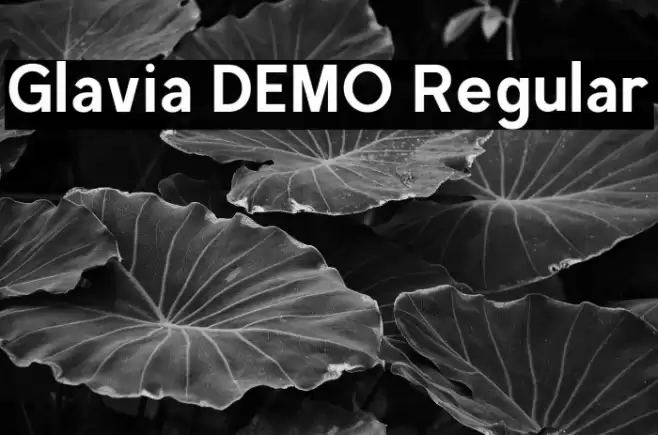 Glavia DEMO Regular خط examples