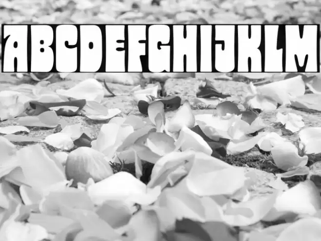 Glaw Typeface Condensed Font examples