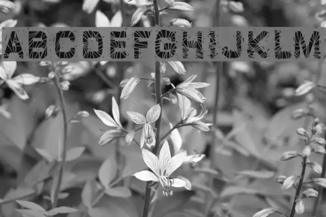 Glaz Krak solid Font examples