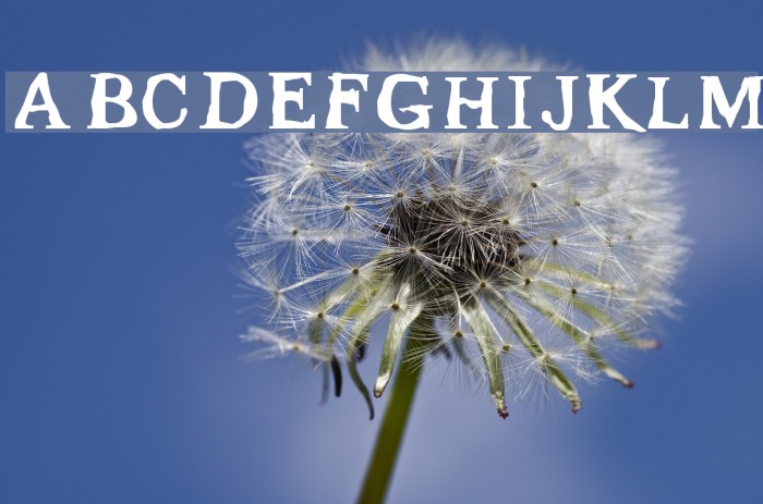 Gleam Font examples