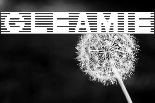 Gleamie Font examples