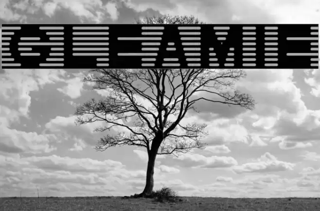 Gleamie Font examples