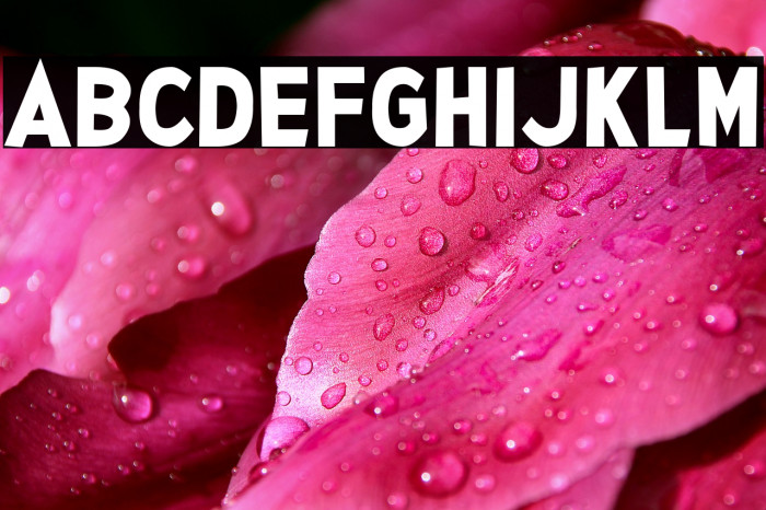 Glee Finder Font examples