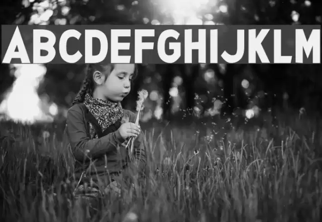 Glee Finder Font examples