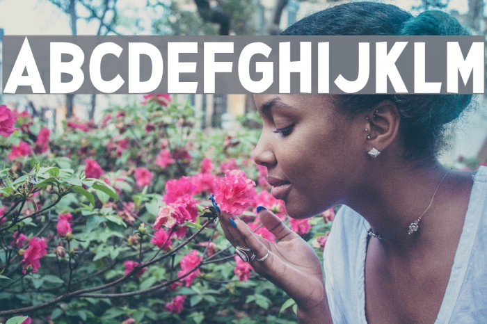 Glee Finder Font examples