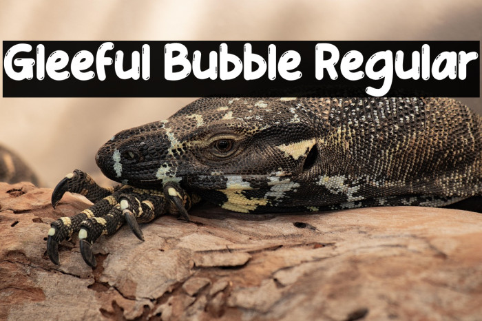 Gleeful Bubble Regular Example 3