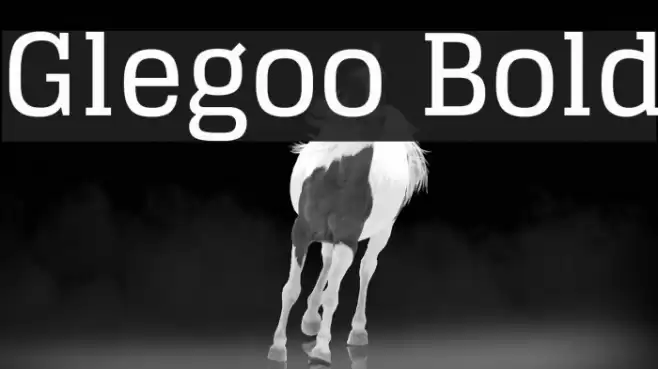 Glegoo Bold Polices examples