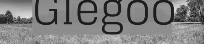 Glegoo Caratteri examples