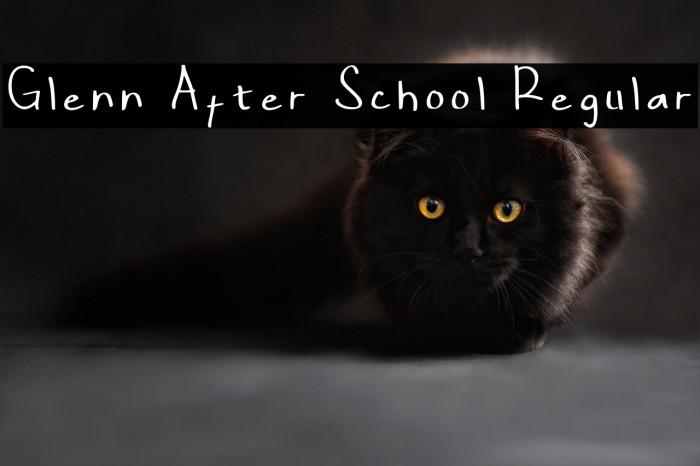 Glenn After School Regular Example 1