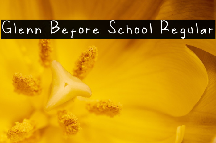 Glenn Before School Regular Example 1