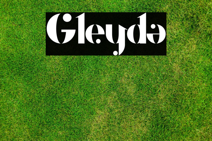 Gleyda Example 1