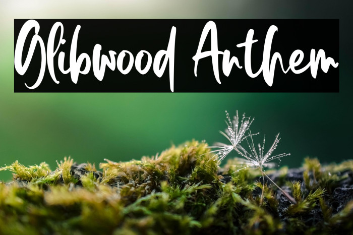 Glibwood Anthem Example 1