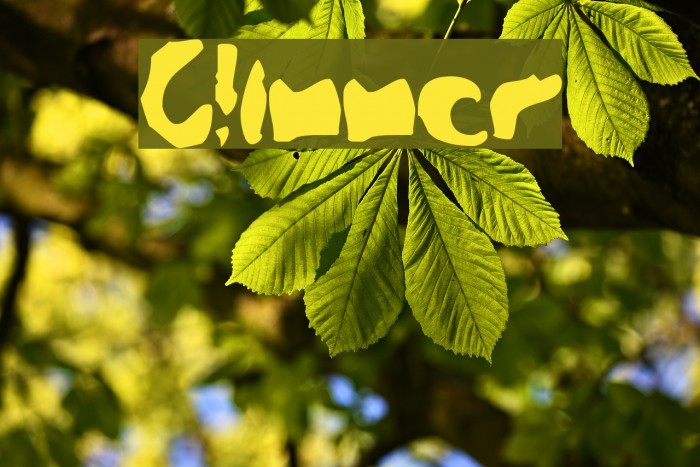Glimmer Font examples