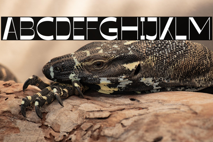 Glimpse Demo Example 3