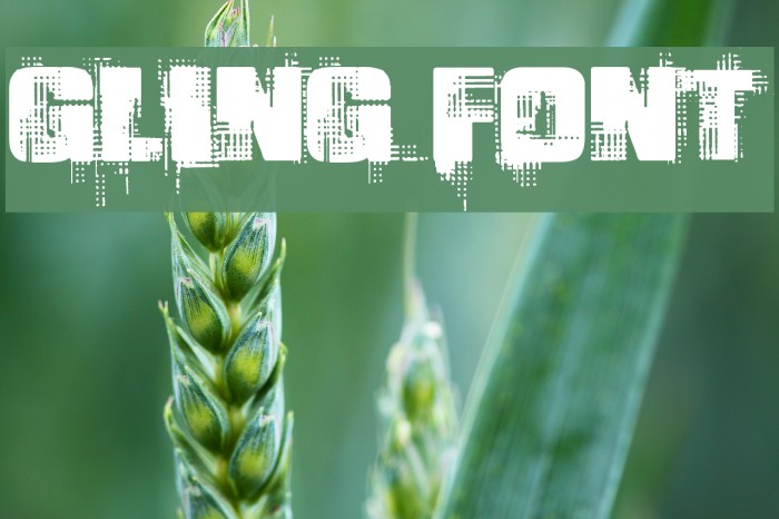Gling Font examples