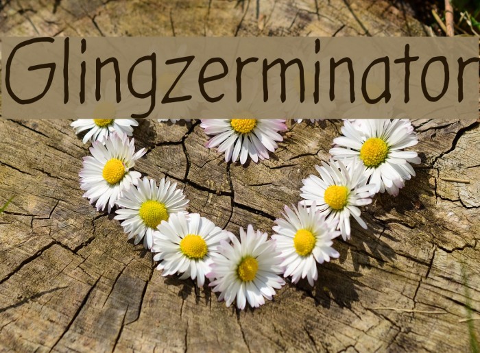 Glingzerminator Font examples