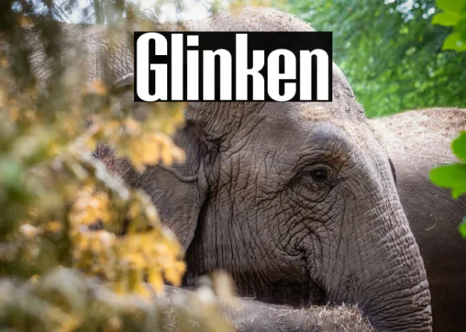 Glinken Example 1