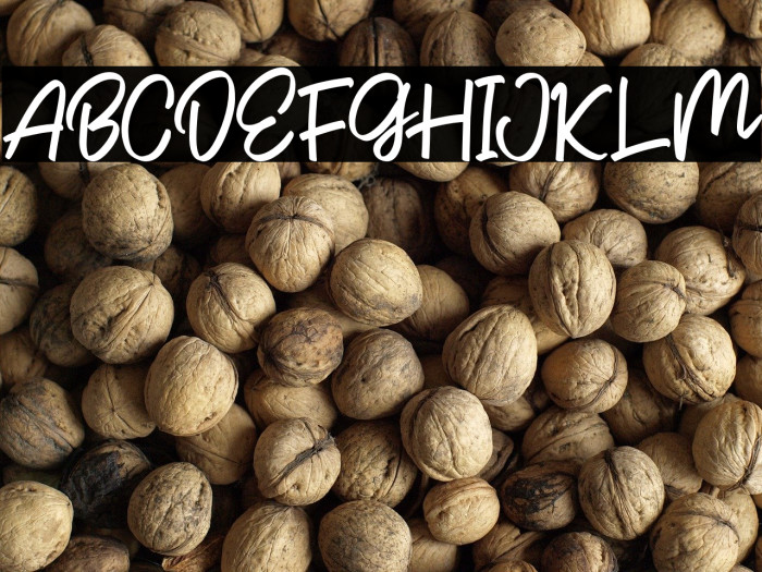 GlintarScriptDEMO-Regular Example 2