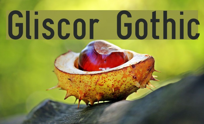 Gliscor Gothic Font examples