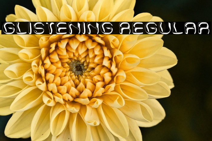 Glistening Regular Example 3