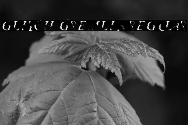 Glitch Gremlin Regular Fuentes examples