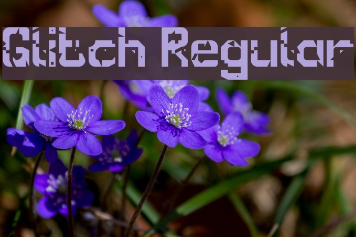 Glitch Regular Font examples