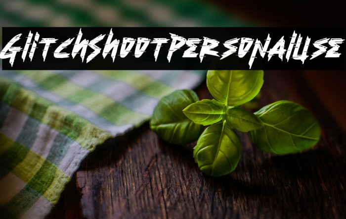 Glitch Shoot Personal Use Example 2