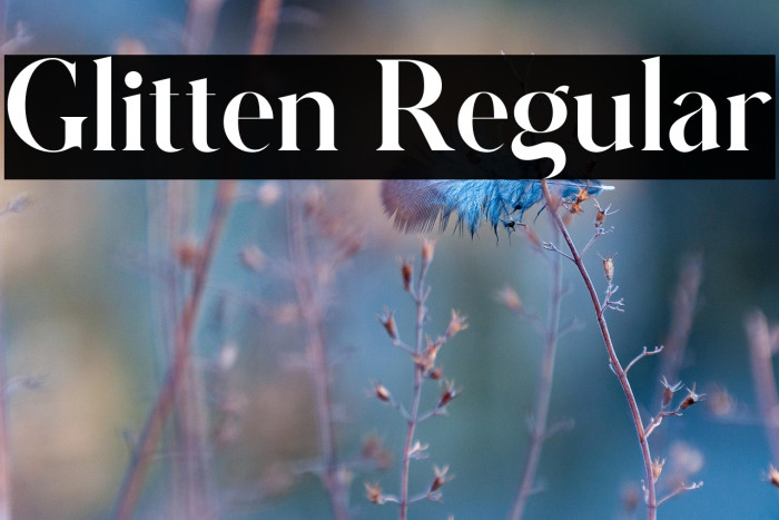 Glitten Regular Example 1