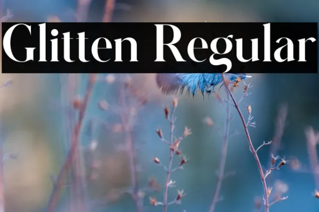 Glitten Regular Example 1