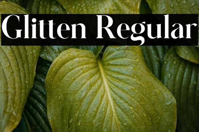Glitten Regular Example 2