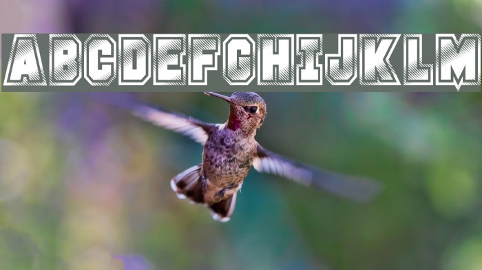 Glitter Campus Example 1