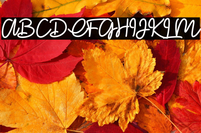 Glitter lovers Example 1