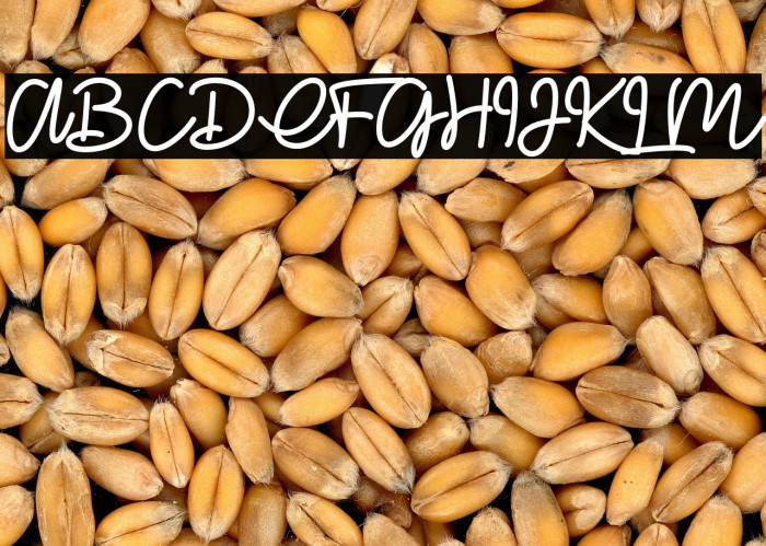 Glitter lovers Example 2